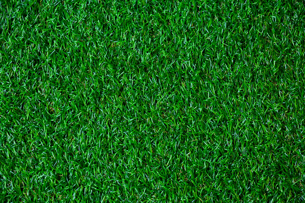 Artificial Grass,grass